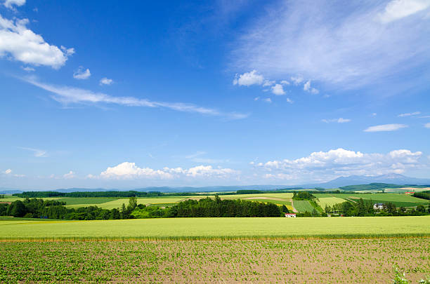Hokkaido Biei Blue skies and grain belt