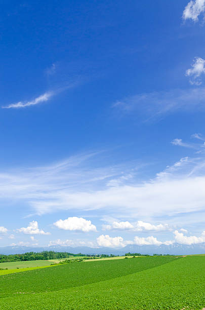 Hokkaido Biei Blue skies and grain belt