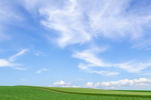 Hokkaido Biei Blue skies and grain belt