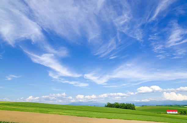 Hokkaido Biei Blue skies and grain belt