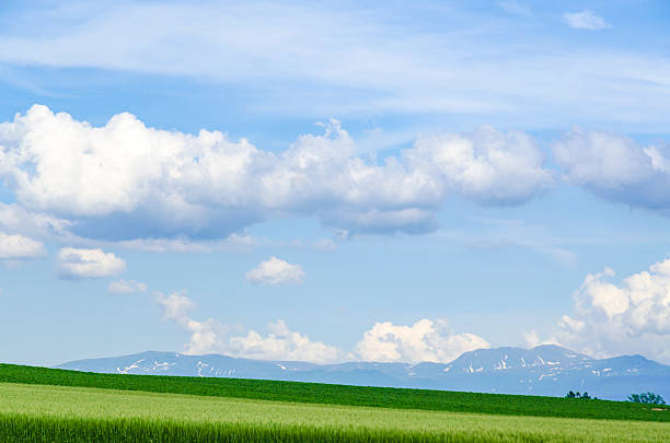 Hokkaido Biei Blue skies and grain belt