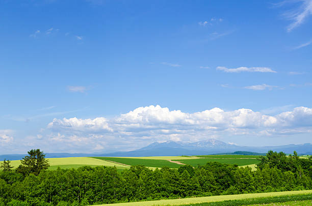 A view from Koiwai Farm of rolling green farm hills with Mt. Iwate dominating the background with a dramatic orange sunset in the sky.