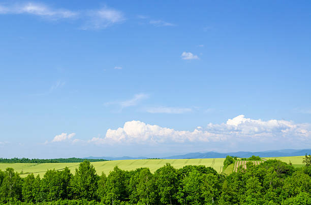 Hokkaido Biei Blue skies and grain belt