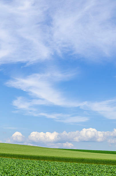 Hokkaido Biei Blue skies and grain belt