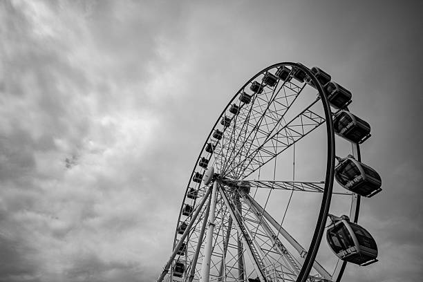 A towering ferris wheel framed by palm trees and clouds, photographed in striking monochrome for dramatic height and leisure.