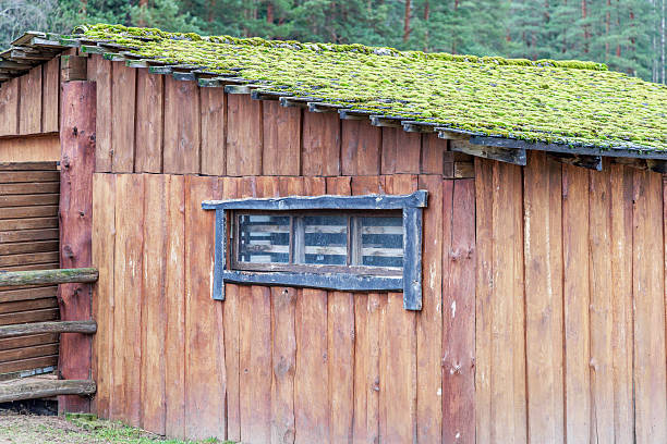 Old wooden shed featuring a roof covered in natural green moss. Ideal for eco-friendly architecture, forest living, and sustainable building concepts.