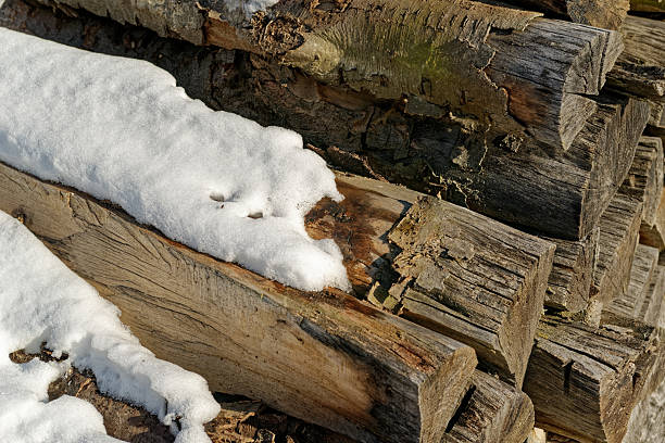 Stack of firewood covered with fresh snow in Bavaria, Germany. Winter rural scene symbolizing cold season, heating, natural resources, and traditional countryside life.