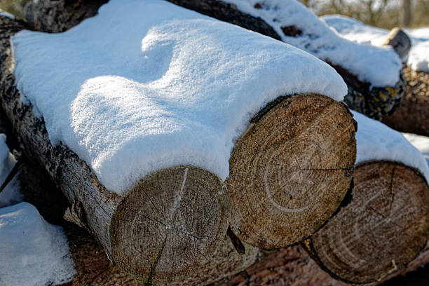 Stack of firewood covered with fresh snow in Bavaria, Germany. Winter rural scene symbolizing cold season, heating, natural resources, and traditional countryside life.