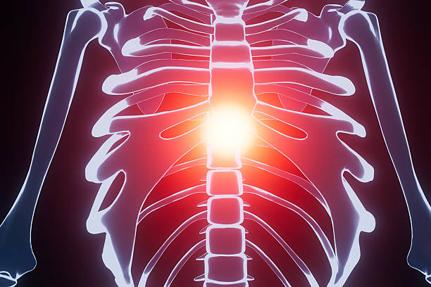Rib cage structure is shown in detail with a glowing area in the center. This visual emphasizes the bones and highlights a central point in the torso.