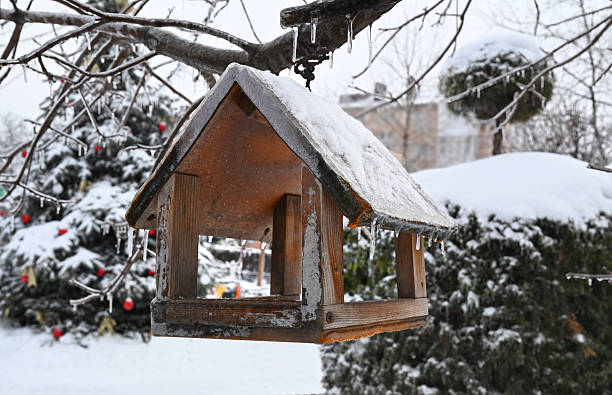 birdhouse on a tree in the snow
