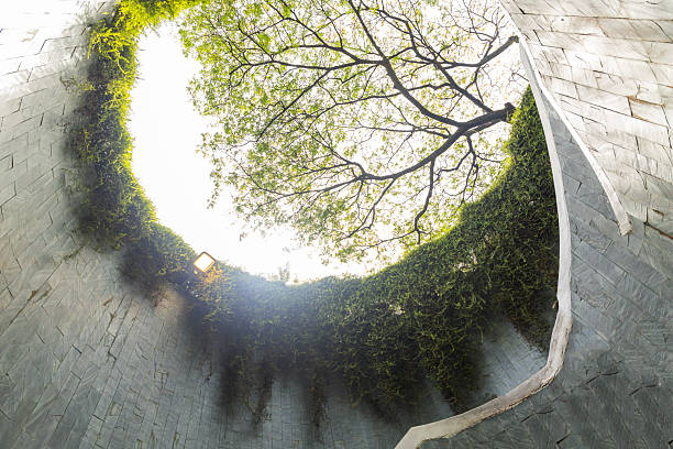 Fort Canning Hill, or simply known as Fort Canning, is a prominent hill, about 48 metres high, in the southeast portion of Singapore, within the Central Area that forms Singapore's central business district.