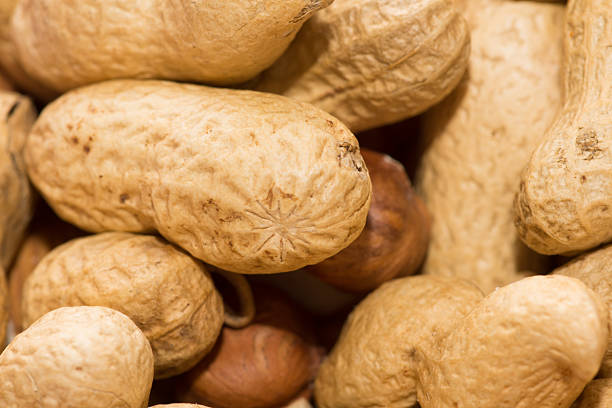 Closeup view of mixture of different types of tree nuts in the shells