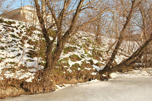 A road with snow on the side. Outdoor. Tree. Snow. Plant. Beautiful