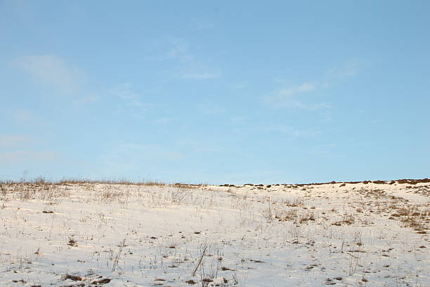 A dry landscape with dry grass. Outdoor. Sky. Beach. Shore. Sandy