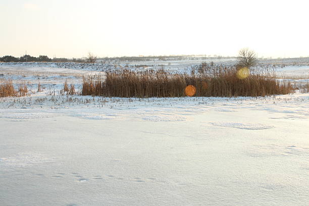 A field of snow. Outdoor. Snow. Sky. Nature. Shore