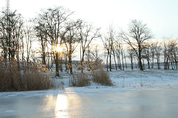 A snowy field with trees and a sunset. Outdoor. Snow. Sky. Tree. Nature