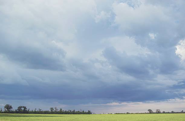 Spacious green meadow with distant trees under cloudy sky, spring landscape