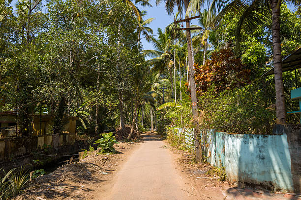 istock Sunlit dirt road through tropical village, Munroe Island 2255716107