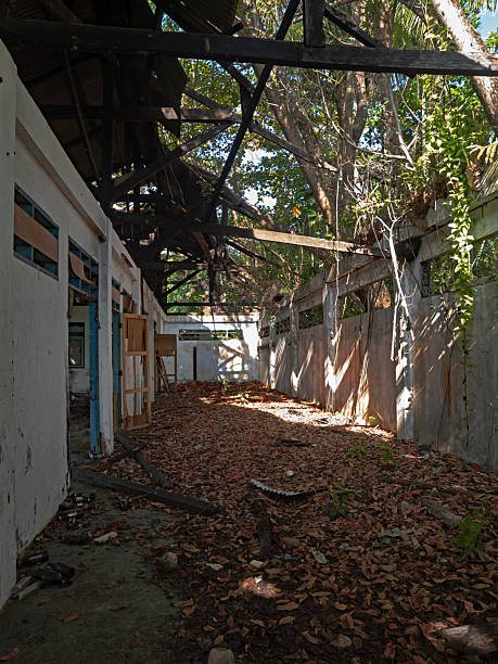 istock Old, dilapidated farm building in the jungle 2255717808