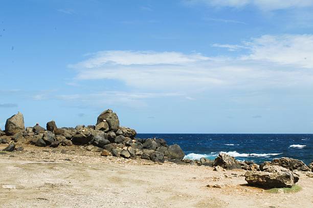 Tropical landscape showing the Caribbean sea and horizon in Aruba