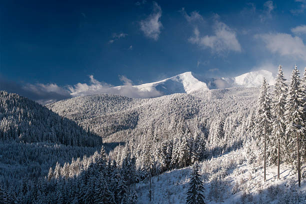 Majestic snow covered mountain peaks rising above a dense evergreen forest in a pristine winter landscape. Fresh snow, frosted trees, and clear blue sky create a peaceful and premium natural atmosphere. Ideal for travel and tourism advertising, winter vacation promotions, outdoor lifestyle concepts, Christmas campaigns, and seasonal background designs with copy space