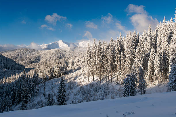 Majestic snow covered mountain peaks rising above a dense evergreen forest in a pristine winter landscape. Fresh snow, frosted trees, and clear blue sky create a peaceful and premium natural atmosphere. Ideal for travel and tourism advertising, winter vacation promotions, outdoor lifestyle concepts, Christmas campaigns, and seasonal background designs with copy space