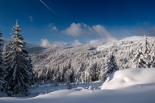 Nature background photo with a winter mountain covered in pine trees and snow. Blue sky with fluffy clouds above. No people in image.