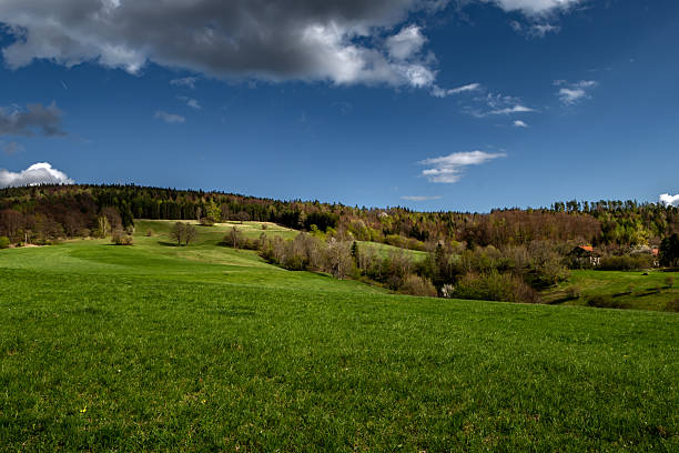 Rural Summer Landscape With Forest And Green Pastures In Austria