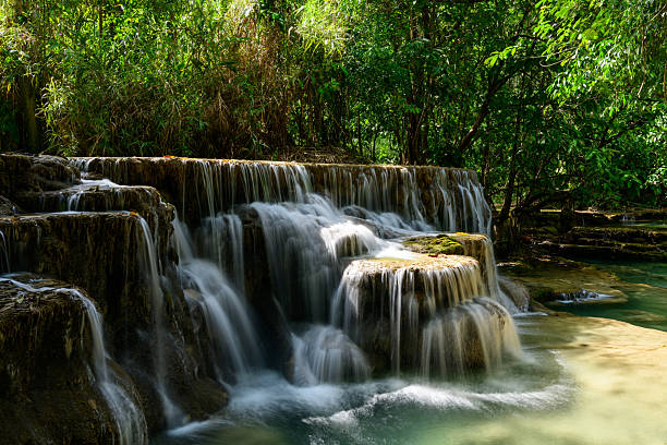 Soft sunlight illuminates water streaming over textured limestone steps surrounded by lush green forest at Kuang Si Falls in northern Laos. The scene captures natural rock formations, flowing water, and vibrant foliage in a tranquil tropical setting.