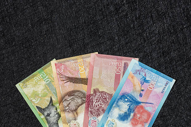 Peru money. Paper banknotes, Peruvian sol bills arranged in a fan on a black background. Reverse with animals. Financial business concept. Flat lay, copy space. Close up