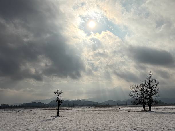 snowy landscape in the Alps