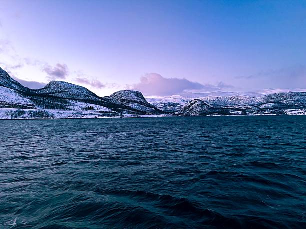 A Norwegian fjord is illuminated by the full moon during polar night, with snow-covered mountains in the background. The scene features water, sky, snow, and Arctic winter scenery, creating a serene and dramatic atmosphere. Perfect for nature, winter landscapes, Arctic scenery, and photography.