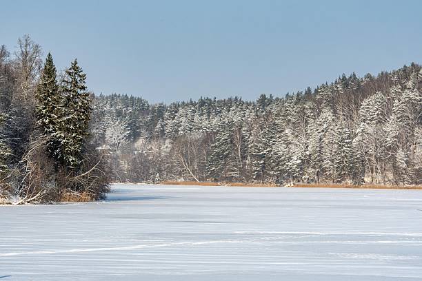 istock Snow-covered forest along a frozen lake under a clear winter sky 2255747487