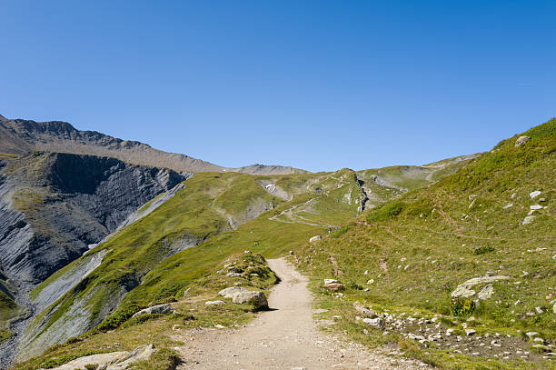 A dirt hiking trail winds through green alpine hills and rocky outcrops under a cloudless blue sky in the Italian valley near Col de la Seigne. The landscape is open and sunlit, with rugged textures and a sense of tranquility.