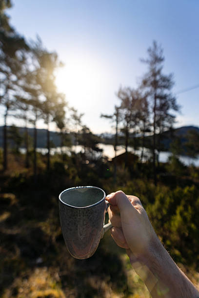 Morning Coffee with Forest and Fjord View in Norway