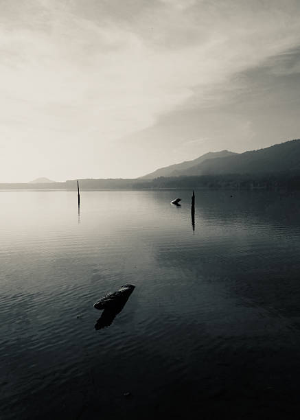 Painting like image of a calm Lake Quinault in Northwest Washington,