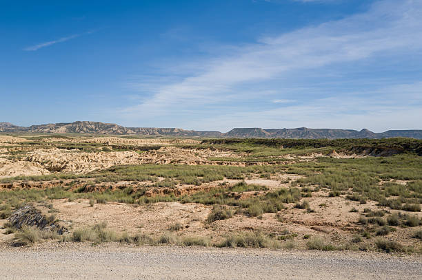 Patches of green grass cover sandy, eroded terrain beneath a wide blue sky in Bardenas Reales, Spain. Distant mesas and rugged hills create a sense of space and natural contrast.