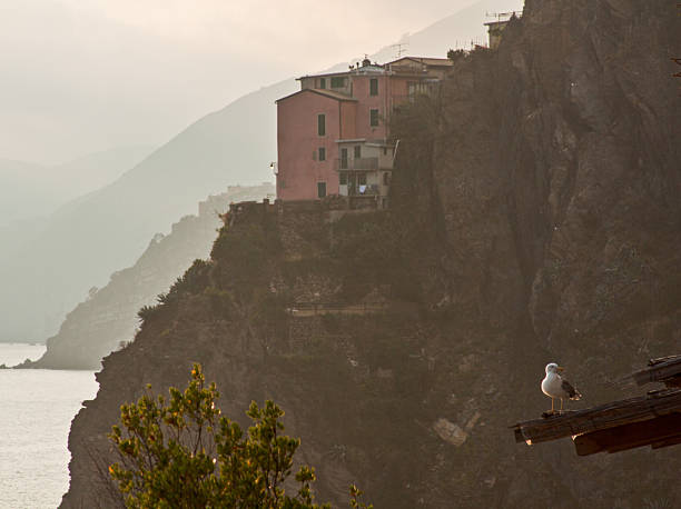 A seagull perched on a rooftop overlooking pastel houses built into steep cliffs along the Italian Mediterranean coast.