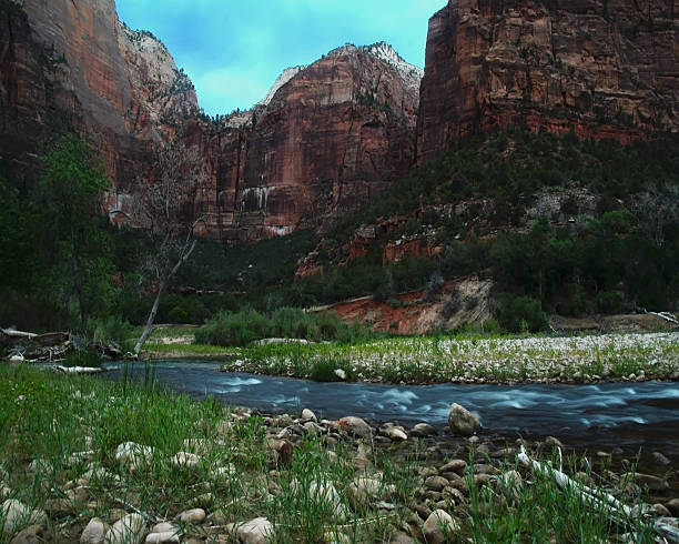 Virgin river in the Narrows of Zion National Park, Utah, SW Utah, USA, North America.