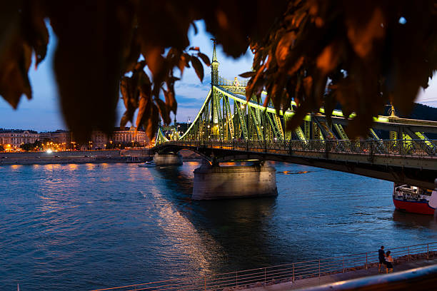 Liberty bridge in Budapest - Hungary by night