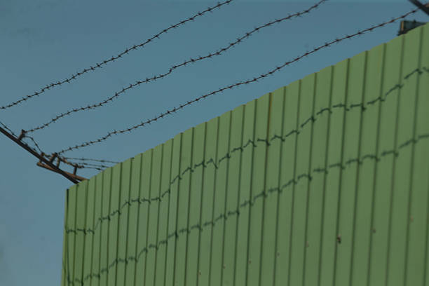 barbed wire above green fence casting sharp shadows on corrugated metal panels, cold industrial barrier under clear blue sky minimalist