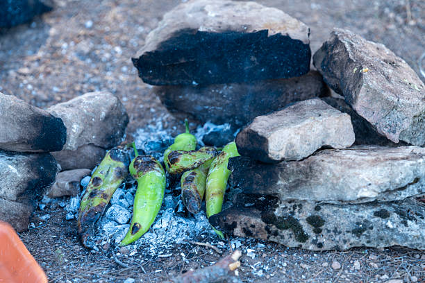Photo of grilled fresh green peppers on camp fire. No people are seen in frame. Shot with a full frame mirrorless camera.