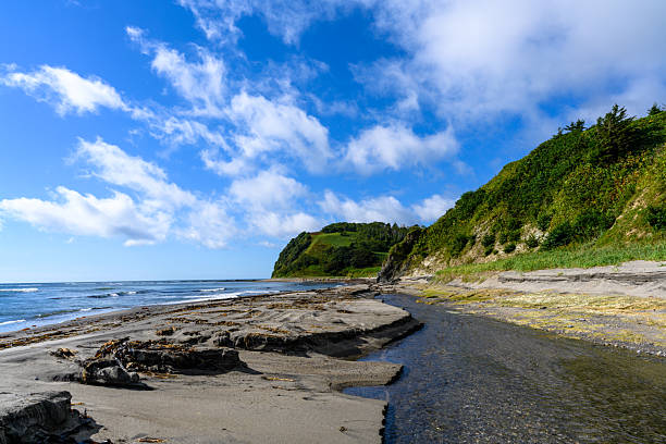 Visit Gore Bay, a tranquil New Zealand hideaway with pristine shores and serene charm. Experience coastal tranquility at its best.