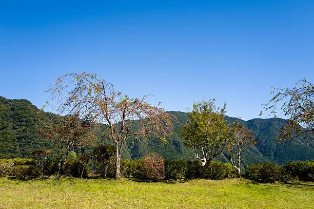 Landscape of Stara Planina mountain in Serbia