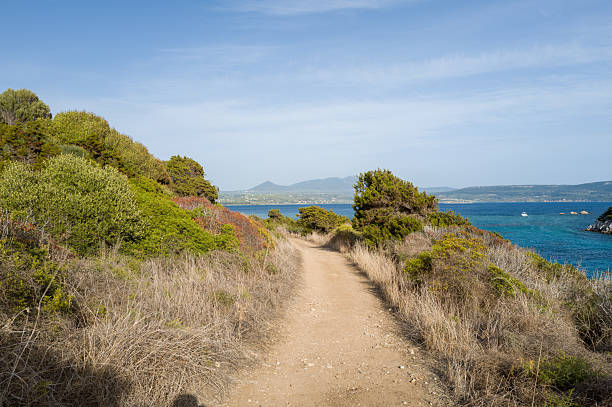 Sunlit dirt path winds through dry shrubs and green bushes, leading toward the vivid blue sea and distant hills along the Navarino coastline in Messenia, Peloponnese.