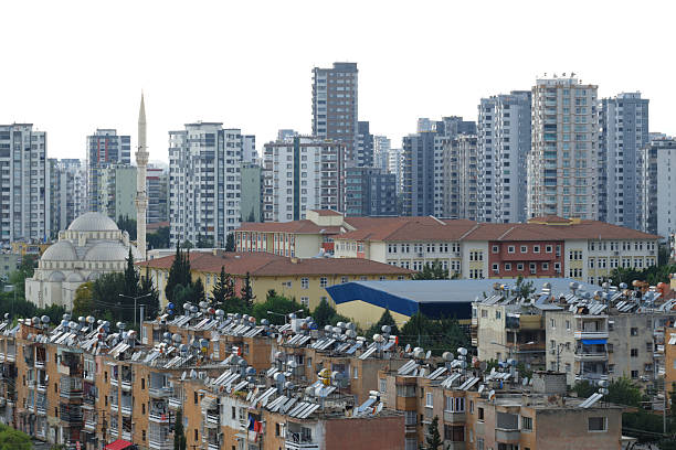 A perspective view of residential buildings featuring numerous solar panels and water heaters on their roofs.