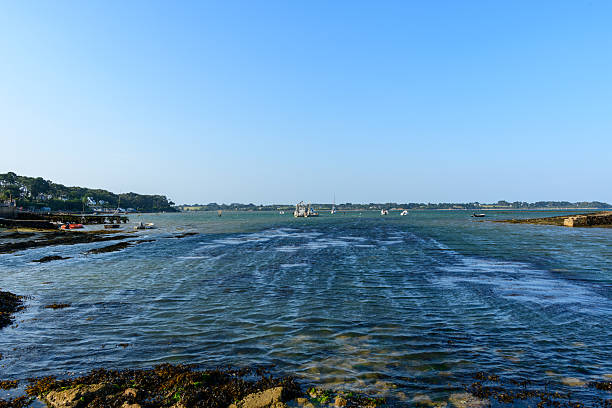 Expansive view of a tidal waterway with anchored boats, exposed seaweed, and distant green shoreline under a clear blue sky in Larmor Baden, Morbihan.