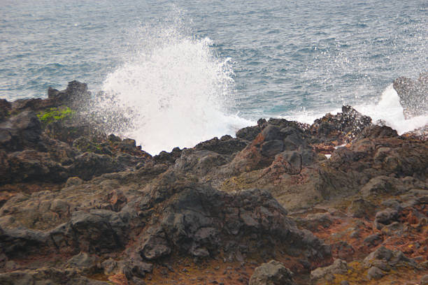 The beauty of Hawaii extends out into the Pacific Ocean. The view from the shore is refreshing.