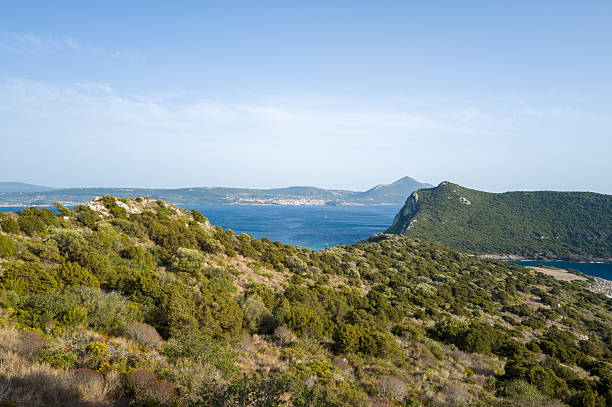 Elevated view of tranquil bay and forest, Tuscany, bike packing from Marina di Grosetto to Castiglione della Pescaia