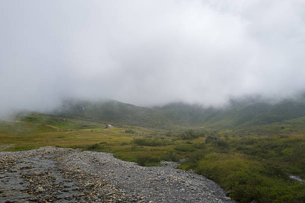 A shallow stony riverbed winds through a lush green valley at the foot of mist-covered mountains, with thick fog drifting across the landscape and soft, diffused daylight.